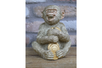 Greedy Monkey