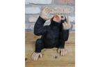 Up Yours Monkey Wine Holder