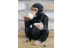 Cup Of Tea Monkey