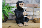 Cocktail Monkey