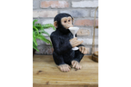 Cocktail Monkey