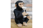 Cocktail Monkey