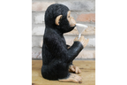 Cocktail Monkey