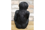 Cocktail Monkey