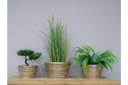 Set Of 3 Planters