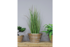 Set Of 3 Planters
