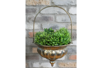Hanging Planter