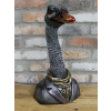 Emu Bust