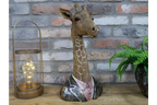 Giraffe Bust