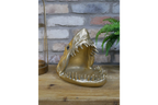 Shark Dish