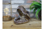 Dinosaur Dish
