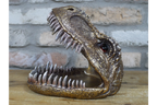 Dinosaur Dish