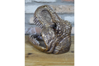 Dinosaur Dish