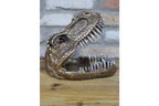 Dinosaur Dish