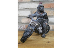 Monkey On Motorbike