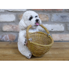 Dog With Basket