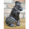 Gorilla With Cigar