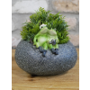Small Frog Trough