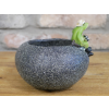 Small Frog Trough