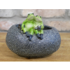 Small Frog Trough