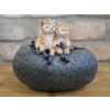 Small Cat Trough
