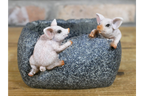 Small Pig Trough