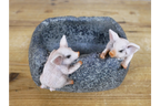 Small Pig Trough