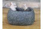 Small Pig Trough