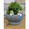 Small Dog Trough