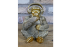 Monkey With Headphones