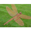 Rusty Dragonfly Stake
