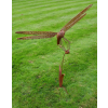 Rusty Dragonfly Stake