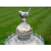 Bird Feeder