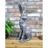 Sitting Rabbit