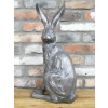 Sitting Rabbit