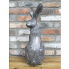 Sitting Rabbit