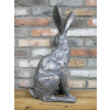 Sitting Rabbit