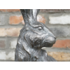 Sitting Rabbit