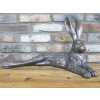 Laying Rabbit