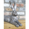 Laying Rabbit