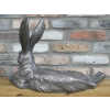 Laying Rabbit