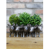 Pig Planter