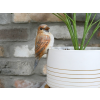 Bird Pot Hanger