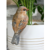 Bird Pot Hanger