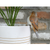 Bird Pot Hanger