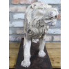 Rustic Lion