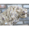 Rustic Lion