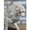 Rustic Lion
