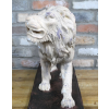 Rustic Lion