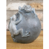 Frogs On Ball